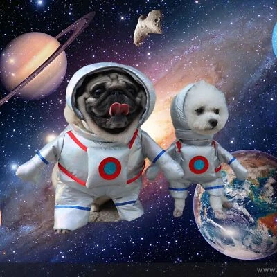 Cute Pet Cosplay Costume Astronaut Spacesuit Dog Holiday Clothes Party Dressing