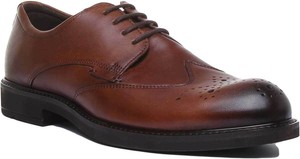 ecco vitrus brogue