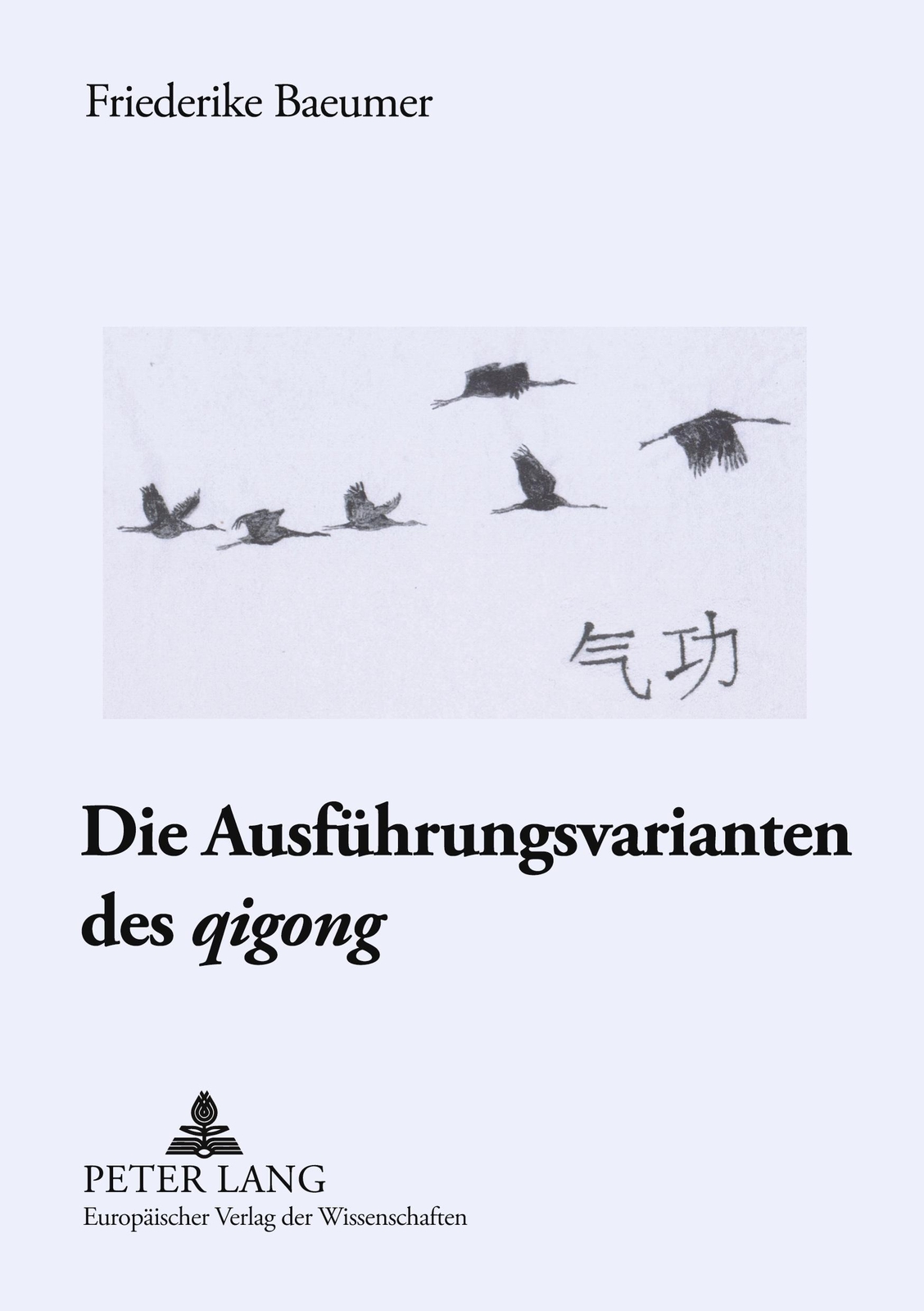 Thumbnail - Die Ausführungsvarianten Des «qigong» Friederike Baeumer Taschenbuch