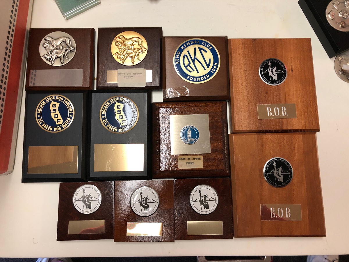 Lot 11 Chief Solano, Berkeley, Reno Kennel Club Golden State Dog Fanciers  Medal | eBay