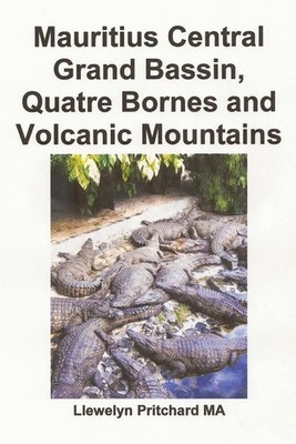 Mauritius Central Grand Bassin, Quatre Bornes and Volcanic Mountains: A Souvenir
