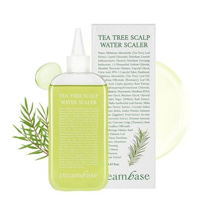 STEAMBASE Tea Tree Scalp Treatment | Purifies and Exfoliates Oily Scalp | Nat...