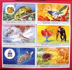LIEBIG - S1860   F18558 - HOW ANIMALS SEE I  - SET OF 6 - 1973 - ITALIAN