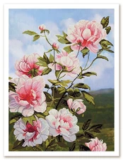 Creative Сross Stitch Embroidery Kit "Peonies" Nova Sloboda