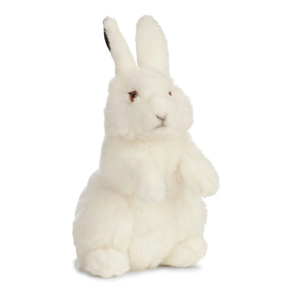 Hare teddy online