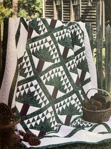 Teach Yourself Quick-Method Quilting Pattern Book Quilts & Wall Hangings - Imagen 3 de 4