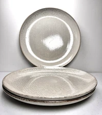 Project 62 Solene Blue Gray Dinner Plates SET 3   10 1/2” Dia  EXCELLENT!