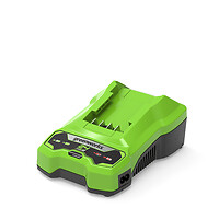 Greenworks 2932407 Caricatore per batteria Greenworks Verde AC 220 240 2932407