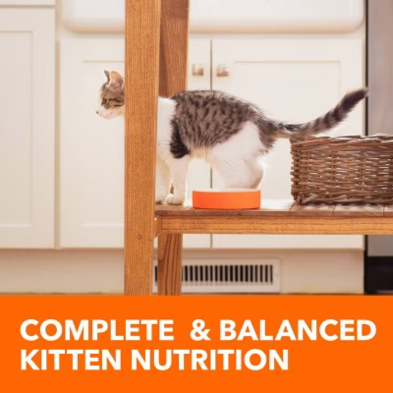 IAMS Proactive Health with Chicken Kitten Premium Dry Cat Food