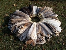 10 Pairs Turkey Wing Feathers, Amazing Feathe...