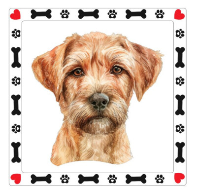 Griffon Fauve de Bretagne Dog Sticker Decal A889