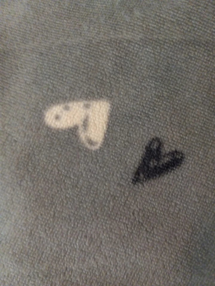 SONOMA 2 PC PAJAMAS, LT GRAY VELOUR, SZ S, Goods For Life, Intimates. - Image 3 of 4