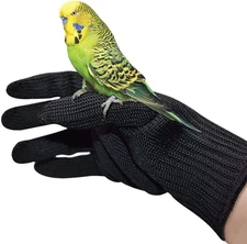 Bird Training Anti-Bite Gloves, Small Animal Handling Gloves, Chewing Protective