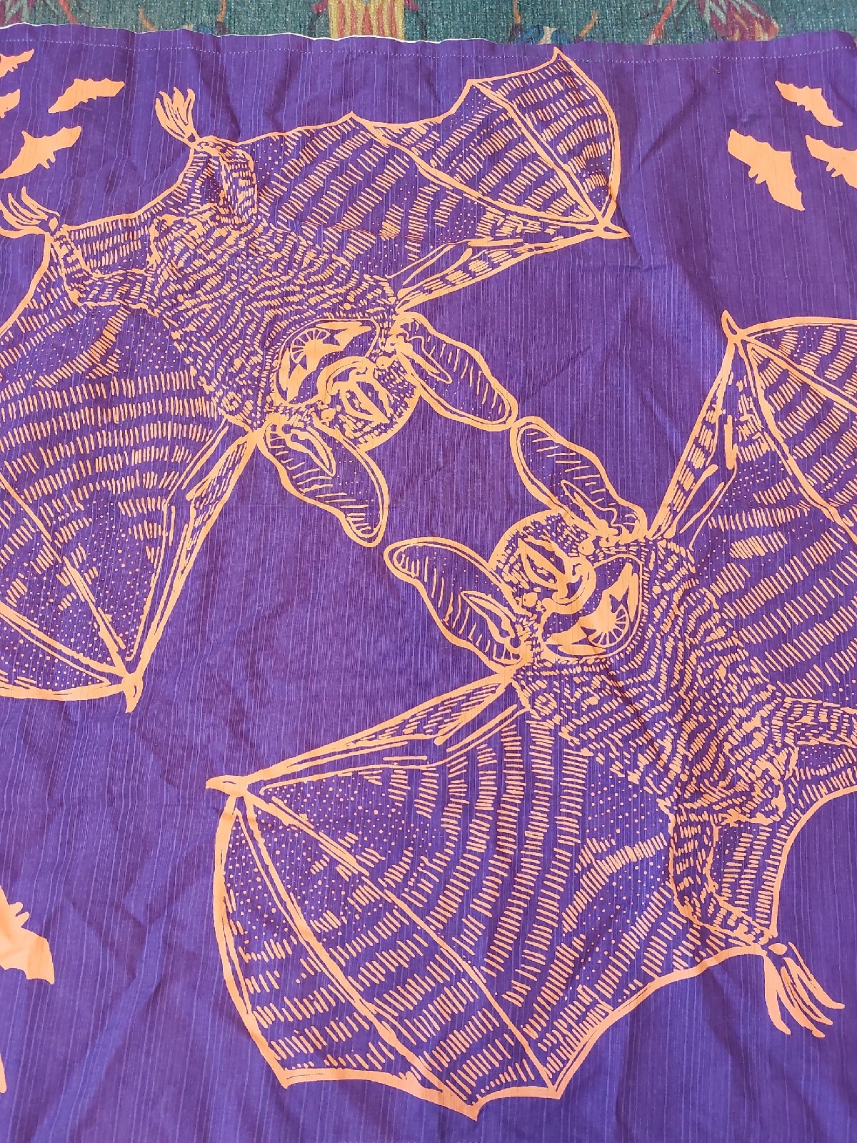Picture 5 of 11