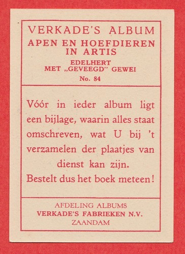 1940 Niederländische Sammelkarte von Verkade #84 Rothirsch mit Geweih - Bild 2 von 2