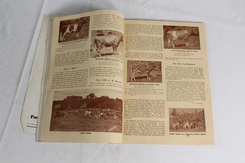 Guernsey Breeders Journal June 15, 1946 Cow Calf Bull Farms Cattle Dairy Ads - Imagen 17 de 24