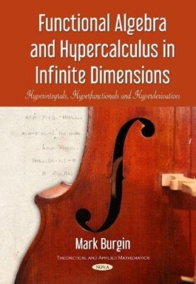 Functional Algebra and Hypercalculus in Infinite Dimensions by Mark Burgin