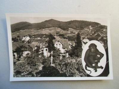Ansichtskarte Affental Bühl Baden Weinort Gasthaus zum Auerhahn Eigent. Winkler