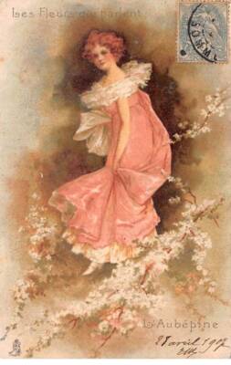 Illustrator - No. 86403 - Mucha Genre - Parlent Flowers - Hawthorn -