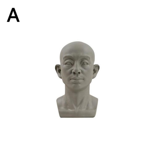 Planarkopf Modell für Künstler Lernen Planes of Face Modell GT Human X1✨y Kopf L8Q2 - Bild 19 von 23