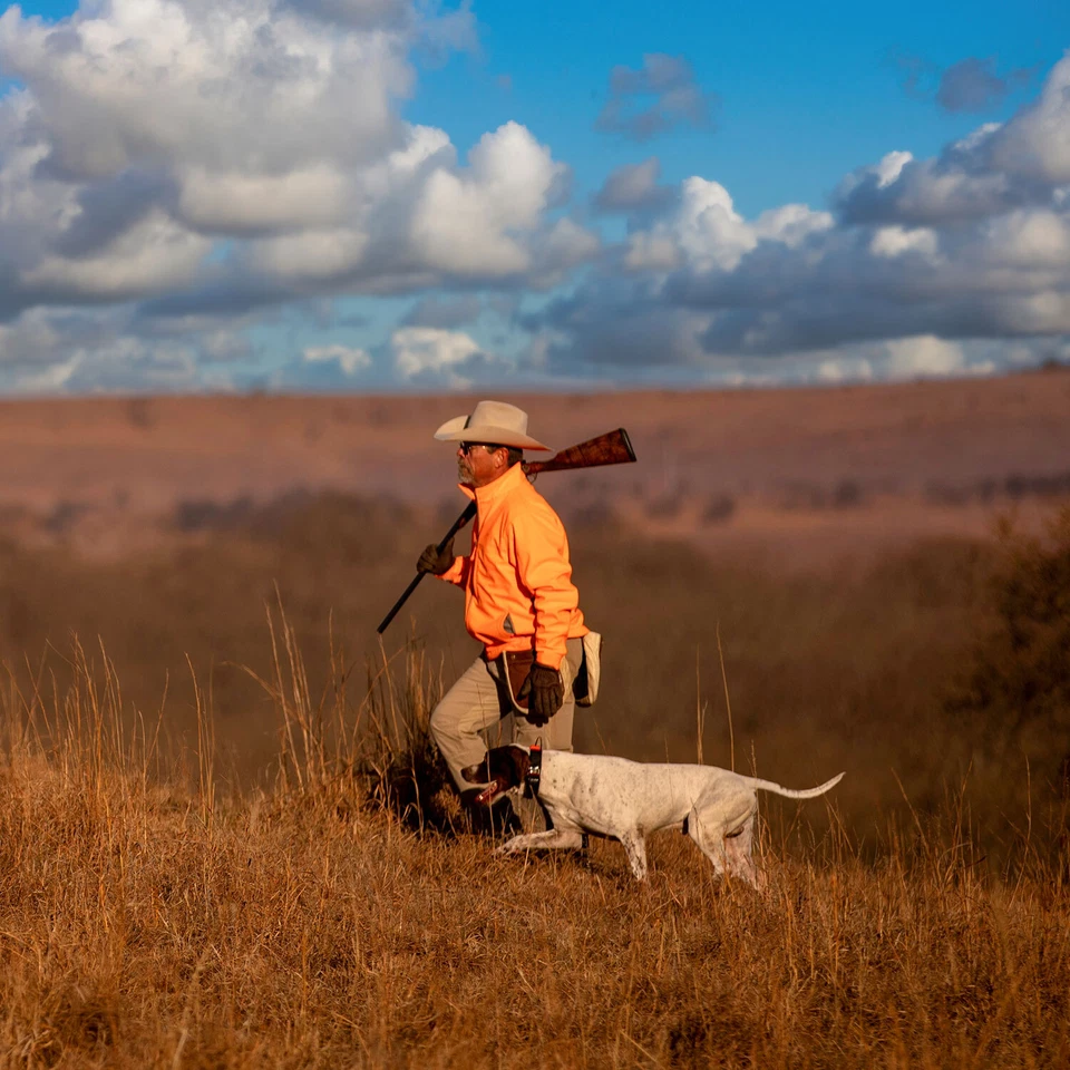 Garmin Alpha 300/300i Track & Train Remote Handheld & Dog Device Collars - Image 3 of 3