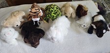 Lot Of 10 Collectible Webkinz Plushies