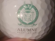 Webb School Of Knoxville Tennessee Titleist ProV1 Logo Golf Ball