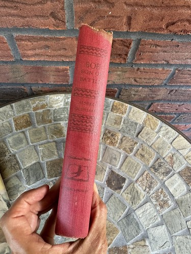 Vtg Bob Son of Battle Alfred Ollivant 1898 First Edition Antique Dog Book HCDJ - Picture 15 of 22