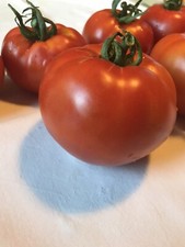 30 Graines De Tomates St Pierre (bio)