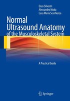 Enzo Silvestri (U. A.) | Normal Ultrasound Anatomy Of The Musculoskeletal System