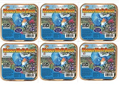 Pine Tree Farms Never Melt Suet Berry Cake 12 oz. 3011 Made in USA (6)