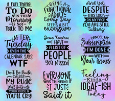 20 oz Graphic Tumbler- Sarcasm Funny Phrases 52