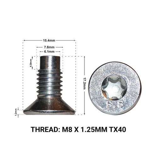 2X FRONT BRAKE DISC RETAINING SCREWS FITS: RENAULT CLIO 1991-2005 DRS1663A - 第 1/1 張圖片