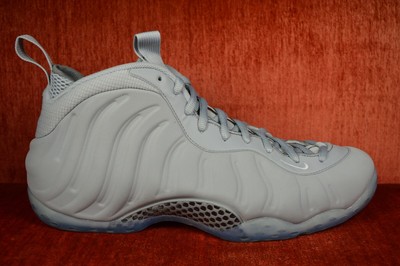 cool grey foamposite