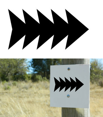 Arrow Steering, Sticker Vinyl Version VII