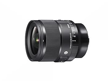 Used () Sigma (Sigma) Lens 24mm F1.4 DG DN Sony Sony E Mount Prime Wide Angle Fu