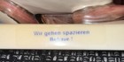 Bild 5 von 16