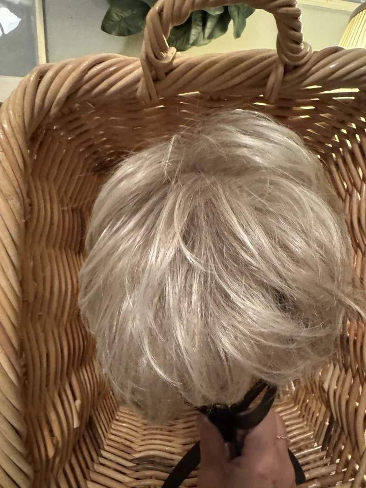 Raquel Welch Cinch 假发短切天然 R23S+ 釉面香草色发饰 — 第 4/4 张图片