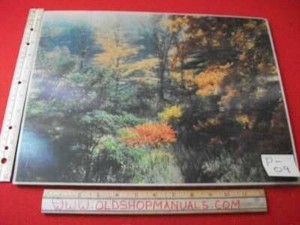 VINTAGE-1950-039-s-COLLECTIBLE-LENTOGRAPH-VICTOR-ANDERSON-PLATE-101-FOREST-FANTASY