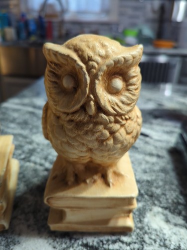 VTG MCM Chalkware Owl Bookends Sitting on KNOWLEDGE Books - Foto 3 di 12