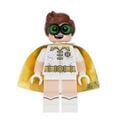 Robin Batman Minifigure LEGO (R) Minifigures