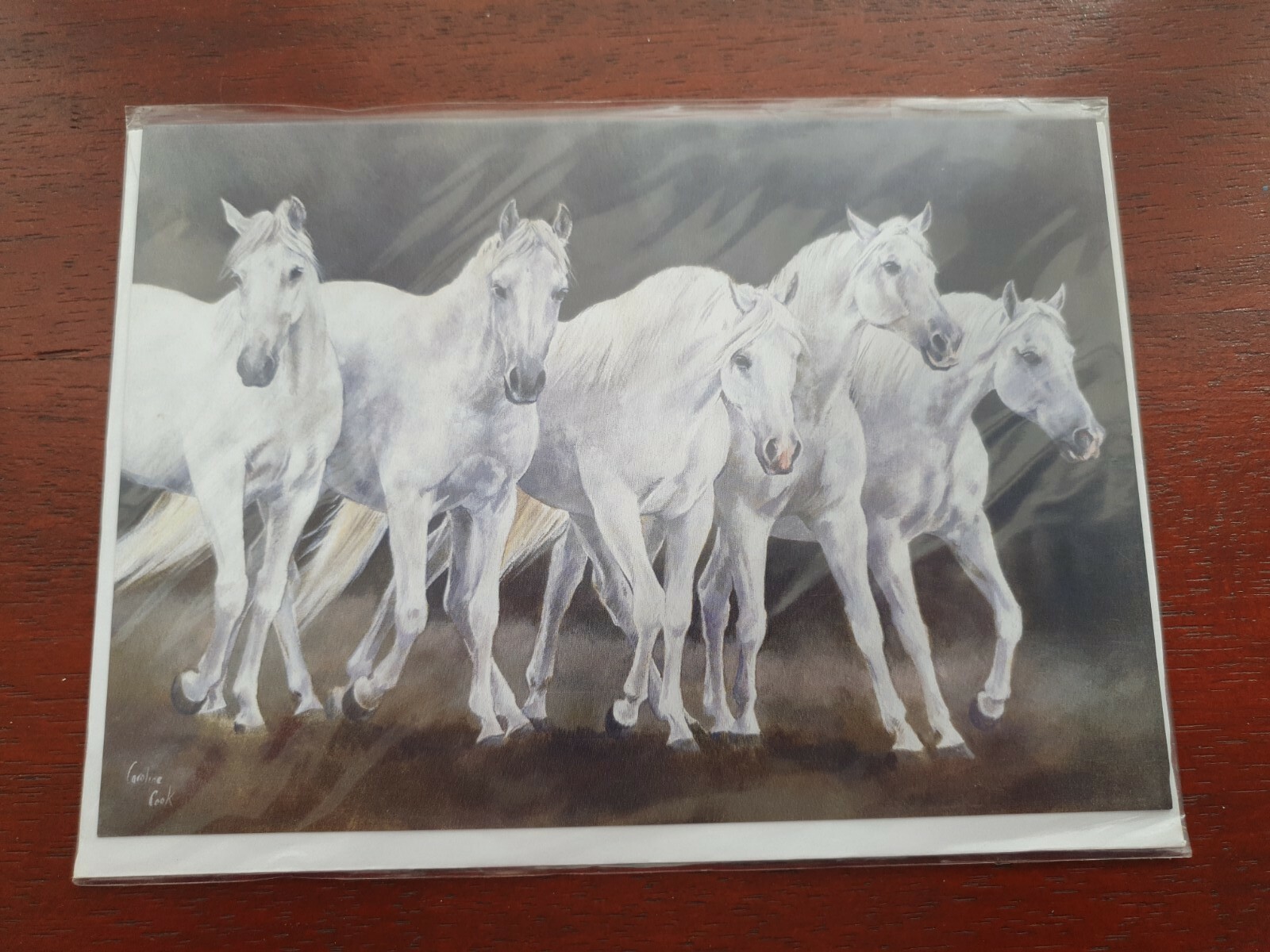 Spanish Horses greetings card HORSE blank card Andalusian Horses birthday card