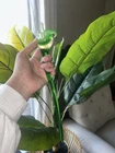Art Glass Hand Blown Murano Long Green Stem Trumpet Lily Flower 12”