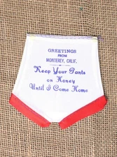 WWII Souvenir/Sweetheart Panties - "Keep Your Pants on Honey Unit I Come Home"