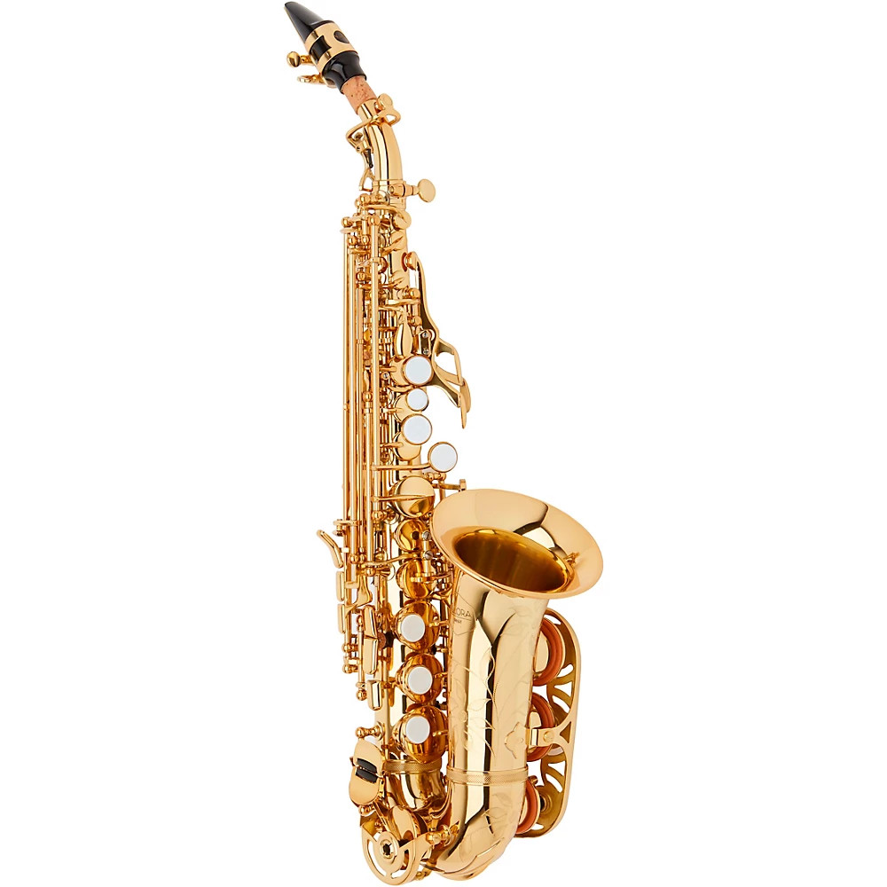 Allora ASPS-550 Paris Series Curved Soprano Sax Lacquer Lacquer Keys 321590₽