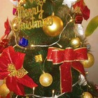 Picture 6 of 7