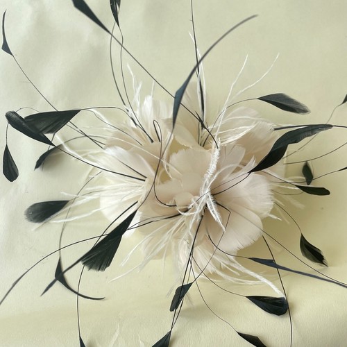 Gans Und Coque Feder Gedrehter Montur Hut Fascinator Kostüm Kunstshow - Bild 4 von 85