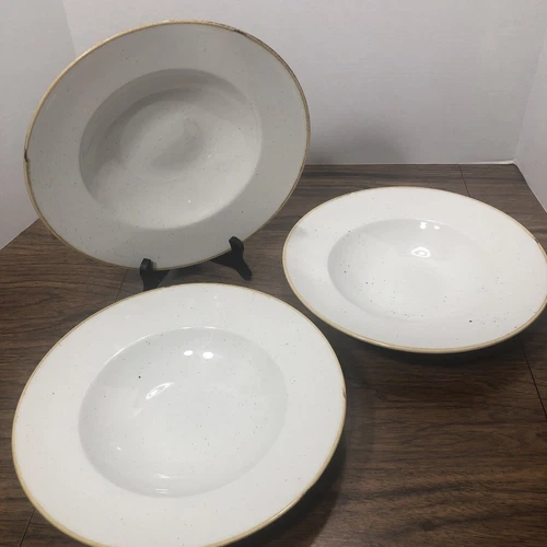 4x Churchill Stonecast Large Rim ~11” Soup Pasta Bowl Vitrified Speckled England