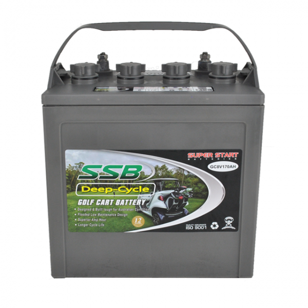 Golf Cart Buggy Battery 8v 170AH Golf Cart Batteries eBay