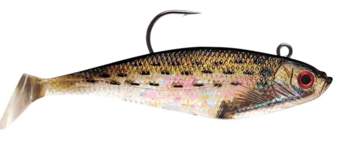 Storm WildEye Swim Shad 03 (Baby Bass, Size- 3